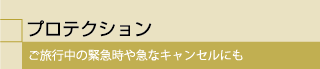 プロテクション
