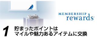 貯まったポイントはマイルや魅力あるアイテムに交換