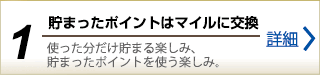 貯まったポイントはマイルに交換